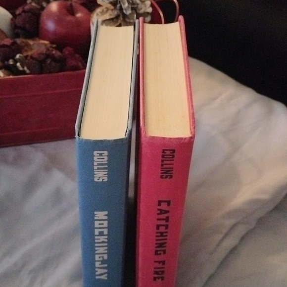 ⚜️ Catching Fire & Mockingjay - Picture 2 of 12